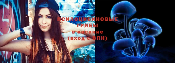 тгк Гусь-Хрустальный