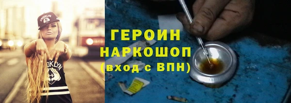 гидра Гусиноозёрск