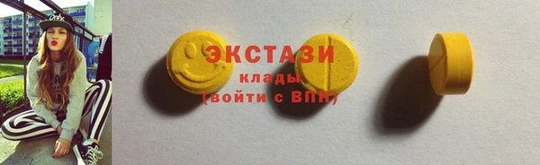 гидра Гусиноозёрск