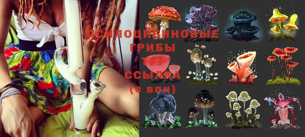 гидра Гусиноозёрск