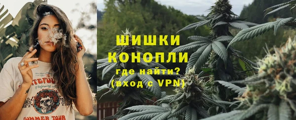 тгк Гусь-Хрустальный