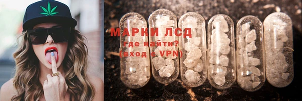 гидра Гусиноозёрск
