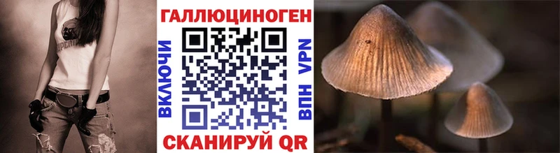 что такое   Сатка  Псилоцибиновые грибы Cubensis 